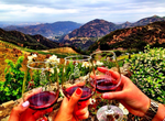 Experience a Malibu Wine Safari, California