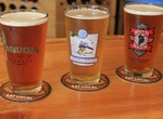 Drink Beer at Sequoia Brewing Company, Fresno, California
