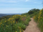 Summit Pyle’s Peak, Mission Trails Park, California