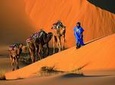 1 Night Camel Trek Bivouac From Merzouga