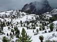 12 Day Rwenzori Trek with Safari