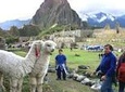 15-Day Peru Tour from Lima Including Paracas, Arequipa and Puno