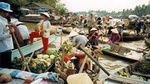 2-Day Mekong Delta Private Tour