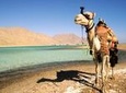 1-Hour Camel Safari to Blue Lagoon Beach from Dahab