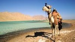 1-Hour Camel Safari to Blue Lagoon Beach from Dahab