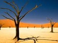 3-Day Namibia Desert Tour from Windhoek