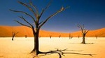 3-Day Namibia Desert Tour from Windhoek
