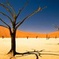 3-Day Namibia Desert Tour from Windhoek