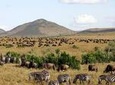 3-Days Masai Mara Group Joining Safari - Daily Departures