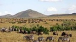 3-Days Masai Mara Group Joining Safari - Daily Departures