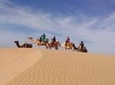 3-hour Dromedary Ride in Essaouira