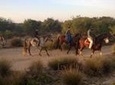 3 Hours Horse Riding with Diner and Overnight From Essaouira