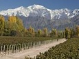 4-Day Trip to Mendoza by Air from Buenos Aires