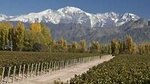 4-Day Trip to Mendoza by Air from Buenos Aires