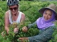 1-Day Bike and River Kayak Adventure from Chiang Mai
