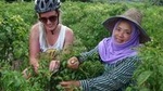 1-Day Bike and River Kayak Adventure from Chiang Mai
