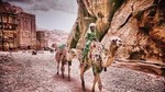 Private 4-Night Jordan from Amman: Petra, Dead Sea, Wadi Rum