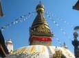 4-Night Nature Tour from Kathmandu