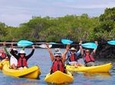 8-Day Galapagos Adventure: San Cristobal, Santa Cruz, Isabela Island