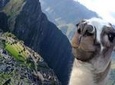 8-Day Lima and Cusco Private Tour - All inclusive