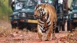  Best of Rajasthan with Ranthambore