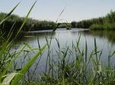 Azraq Wetland Private Half Day Tour from Amman