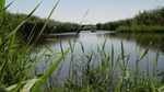 Azraq Wetland Private Half Day Tour from Amman