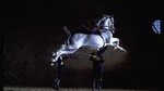 Andalusian Horses Dance Show