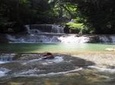 Round-Trip Shuttle Transportation to Appleton Estate Rum & YS Falls