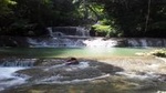 Round-Trip Shuttle Transportation to Appleton Estate Rum & YS Falls