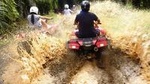 ATV & Canopy Tour From Flamingo Beach
