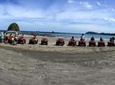 ATV and Canopy Zip-line Tour from Tamarindo