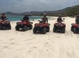 ATV Mountain and Beach Tour from Flamingo Beach
