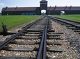 Auschwitz-Birkenau Museum and Memorial Guided Tour from Krakow