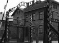 Auschwitz-Birkenau Memorial and Museum Trip from Krakow