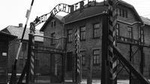 Auschwitz-Birkenau Memorial and Museum Trip from Krakow