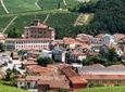 Barolo Wine Tour