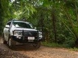 Barron Gorge and Kuranda National Park Half Day Rainforest and Waterfall 4WD Tour from Cairns