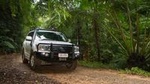 Barron Gorge and Kuranda National Park Half Day Rainforest and Waterfall 4WD Tour from Cairns