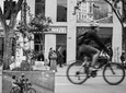 Bogotá Private Bike Tour (5. Hrs.) 