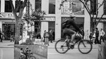Bogotá Private Bike Tour (5. Hrs.) 