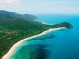 Cape Tribulation, Mossman Gorge, and Daintree Rainforest Premium Day Tour