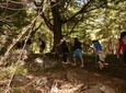 Cerro Colorado Trekking Tour from San Martin de los Andes