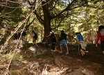 Cerro Colorado Trekking Tour from San Martin de los Andes
