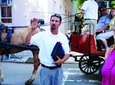 Downtown Charleston Culinary Walking Food Tour of French Quarter & City Market