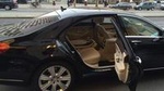 Ciampino, Fiumicino Airport or Civitavecchia port Private Transfer to Rome