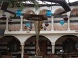 Classic Turkish Bath in Amman