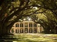 Oak Alley Plantation and Small Airboat Tour from New Orleans