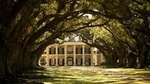 Oak Alley Plantation and Small Airboat Tour from New Orleans