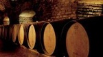 Santiago: Half day visit to Concha y Toro vineyard, include entrace & transport